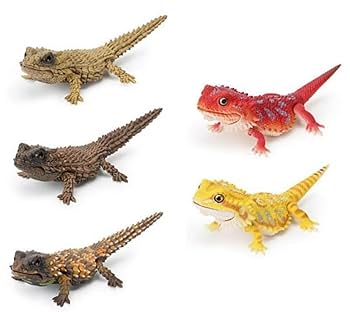 いきもの大図鑑　フトアゴヒゲトカゲ　くわがた　かぶと　レオパ　爬虫類 Amazon.co.jp: 販促ディスプレイPOP付 いきもの大図鑑レプティ